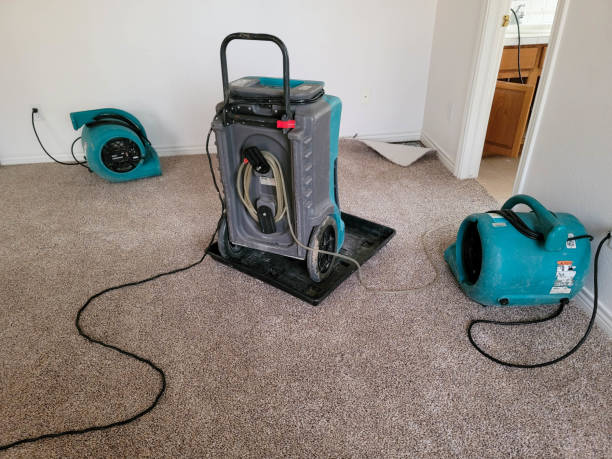 Best Basement water damage restoration  in Vian, OK