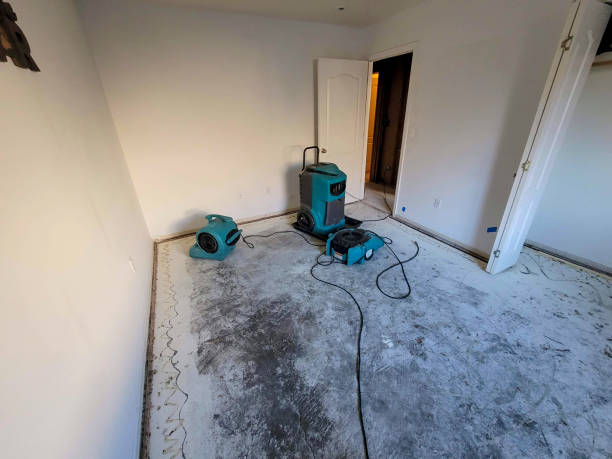 Best Fire Damage Restoration  in Vian, OK