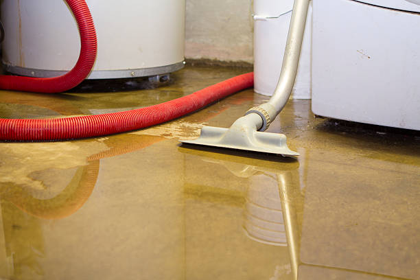 Best Water damage cleanup near me  in Vian, OK