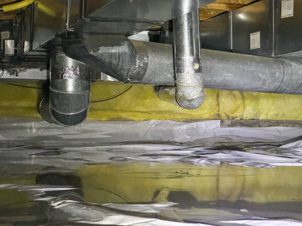 Best Mold removal after water damage  in Vian, OK