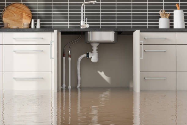 Best Water damage restoration company  in Vian, OK